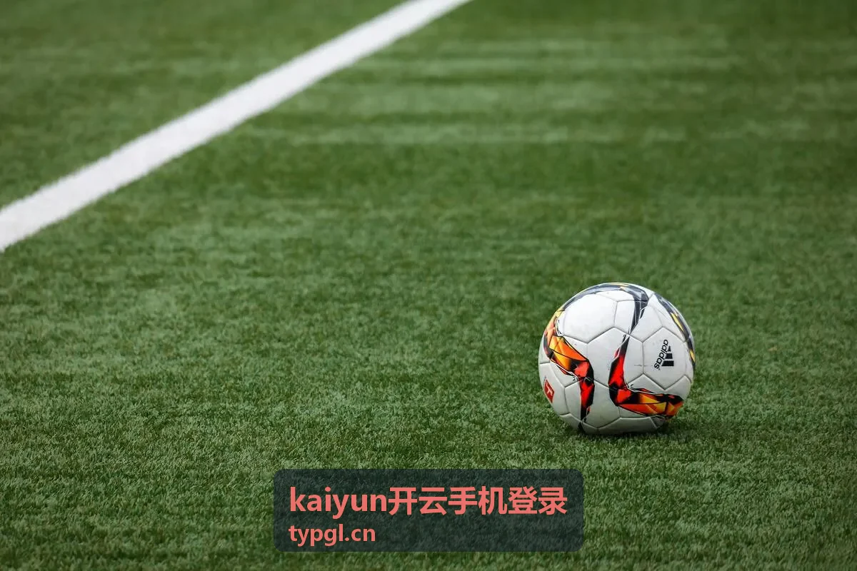 kaiyun开云手机登录登录指南与账号配置说明