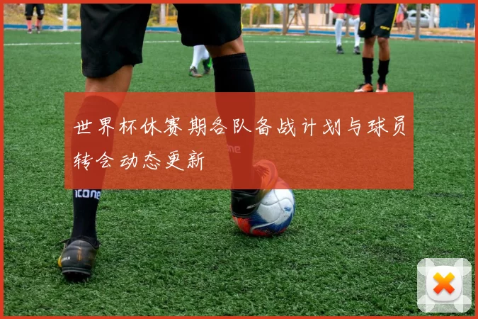 世界杯休赛期各队备战计划与球员转会动态更新