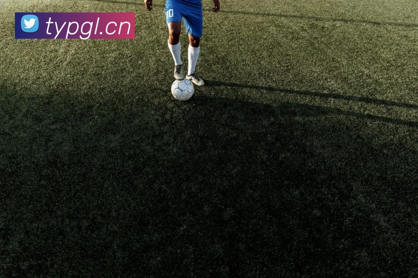 爱游戏(ayx)中国官方网站平台 - 登录入口平台生态图